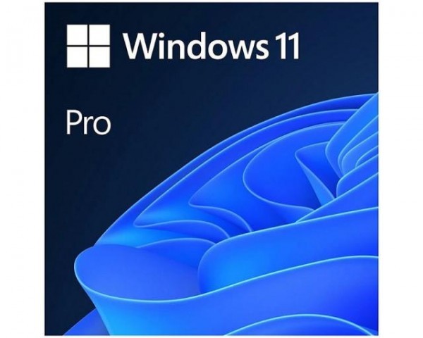 Microsoft Windows 11 Profesionnal GGK